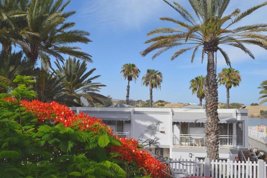 Apartamentos Dunaoasis Maspalomas Maspalomas  Exterior foto